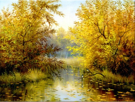 Autumn Stream Jigsaw Puzzle