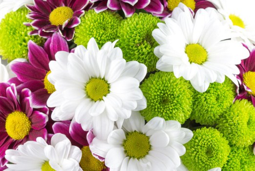 Fresh Flowers Jigsaw Puzzle