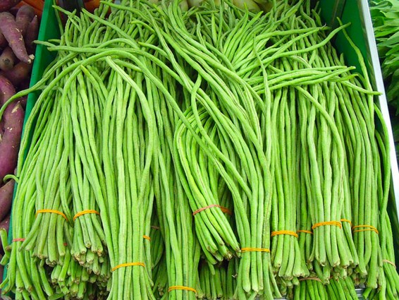 Yardlong Beans Jigsaw Puzzle