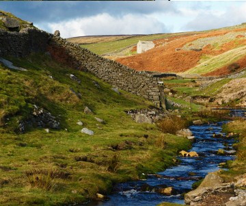 Yorkshire Stream