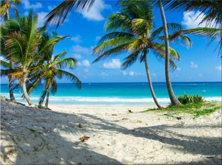 Caribbean Beach Jigsaw Puzzle