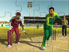 World Cricket Puzzle