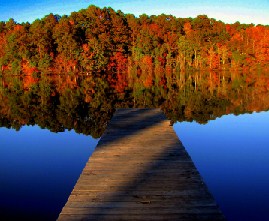 Idyllic Lake