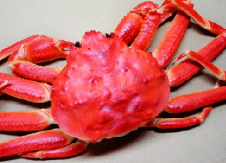 Red Crab