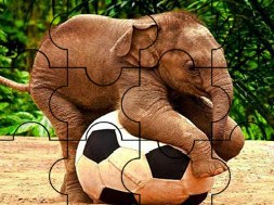 Player Elephant Puzzle