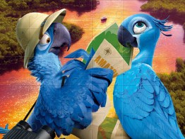 Rio Jigsaw Puzzle