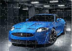 Jaguar Jigsaw