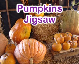 Pumpkins Jigsaw