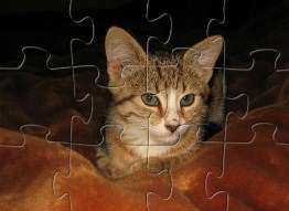 Cat Jigsaw