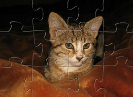 Cat Jigsaw