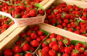 Fresh Strawberries