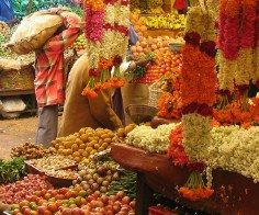 Fruit Market