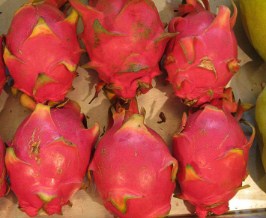 Dragon Fruit