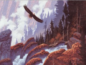 Bald Eagle Jigsaw