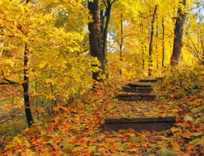 Autumn Stairway Jigsaw