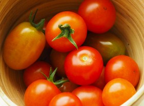 Bowl Of Tomatoes