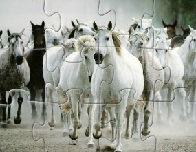 White Horse Jigsaw