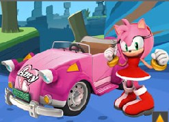 Amy Rose Puzzle