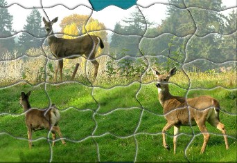 Family of Deer Jigsaw Puzzle