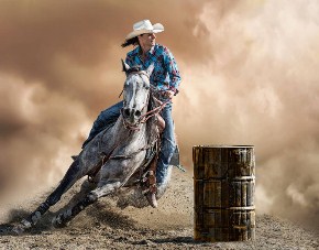 Barrel racer art