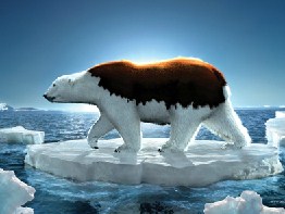 Greenpeace Polar Bear