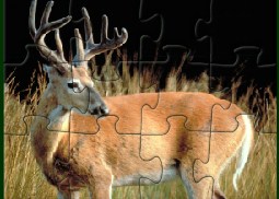 Velvet Whitetail Buck Jigsaw