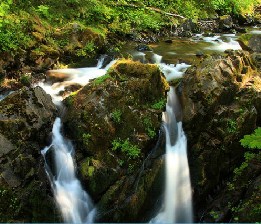 Olympic National Park Jigsaw