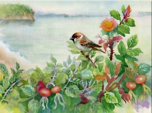 Sparrow Jigsaw Puzzle