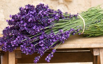 Lavender Bouquet Jigsaw