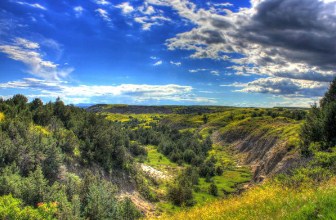 Theodore Roosevelt National Park Jigsaw