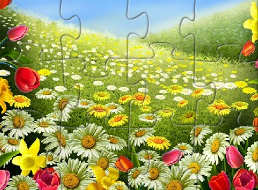 Nature Flowers Puzzle