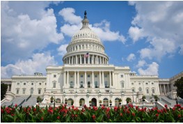 US Capitol Building Jigsaw Puzzle