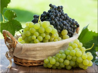 Basket of Grapes Jigsaw Puzzle