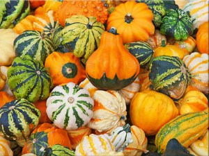 Colorful Gourds Jigsaw Puzzle