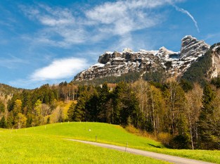 Lush Mountain Pasture Jigsaw Puzzle