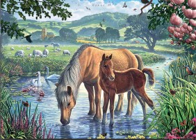 Steve crisp pony and foal jigsaw puzzle