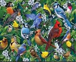 Birds and Blossoms