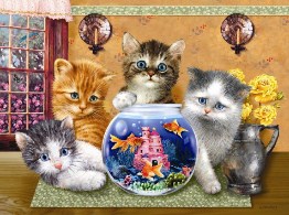 Kitties and Goldfish