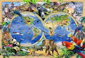 Animal World Jigsaw Puzzle