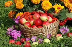 Apples Basket and Flowers Jigsaw Puzzle