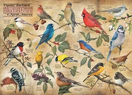 Backyard Birds Jigsaw Puzzle