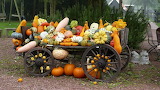 Barrowload of Pumpkins Jigsaw Puzzle