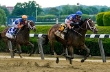 Belmont Stakes Horse Racing Jigsaw Puzzle