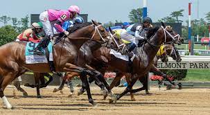 Belmont Stakes Jigsaw Puzzle