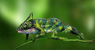 Body Painting Chameleon Jigsaw Puzzle