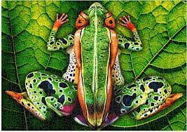 Desenhos de Body Painting Frog Jigsaw Puzzle para colorir
