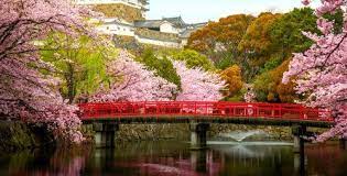 Bridge and Cherry Blossoms Jigsaw Puzzle