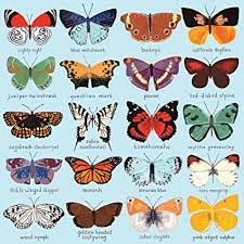 Butterflies of North America Jigsaw Puzzle