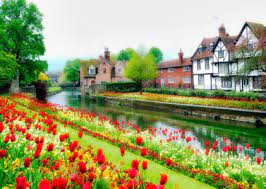 Canterbury Tulips Jigsaw Puzzle