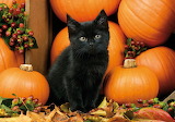 Cat Halloween Jigsaw Puzzle